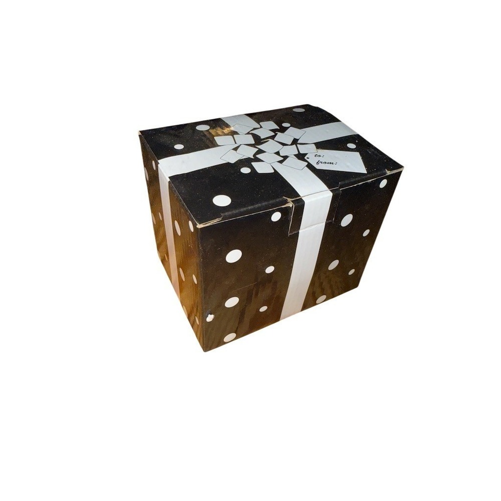Temp-tations by‎ Tara Polka Dot Mug 16 oz Black w/ Gift Box stoneware